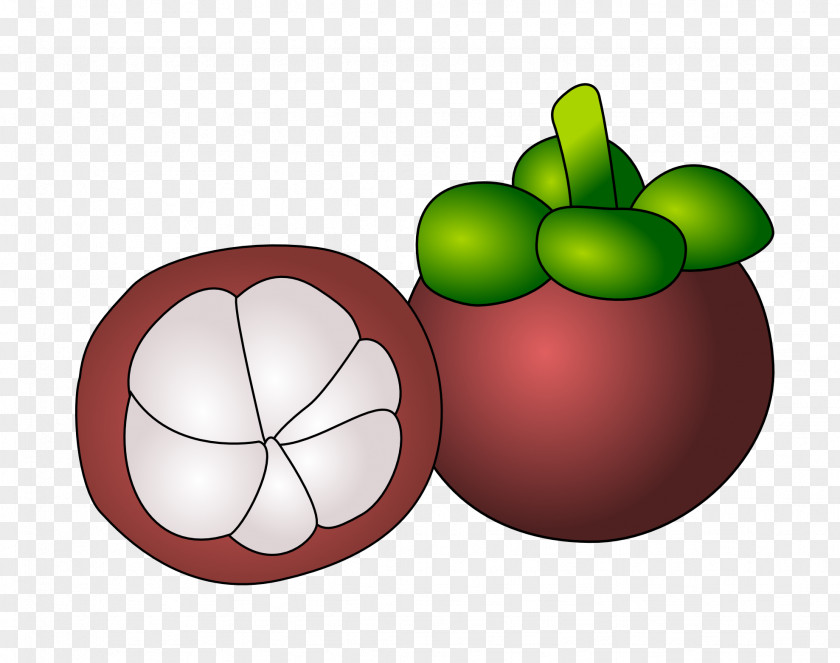 Fruit Vector Purple Mangosteen Clip Art PNG