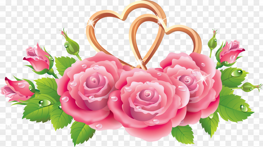 Https://www.shutterstock.com/image Photo/close Wom Flower Greeting & Note Cards Love Heart Rose PNG