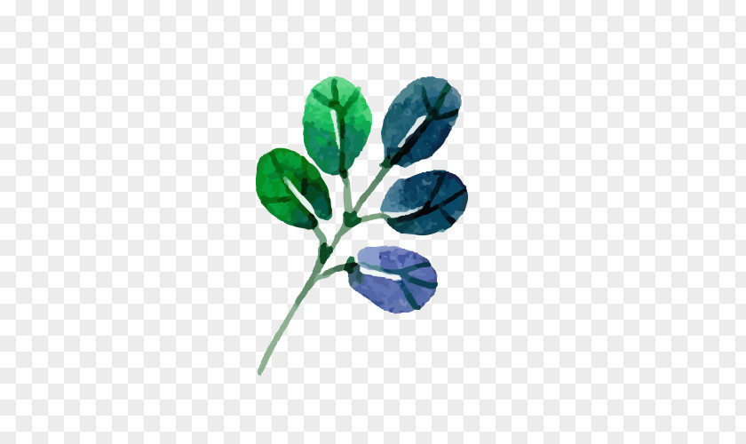 Painting Five Leaves Grass Leaf Flower Drawing PNG