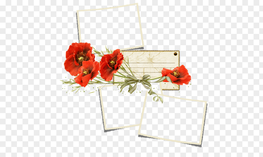 Remembrance Poppy Flower Clip Art PNG
