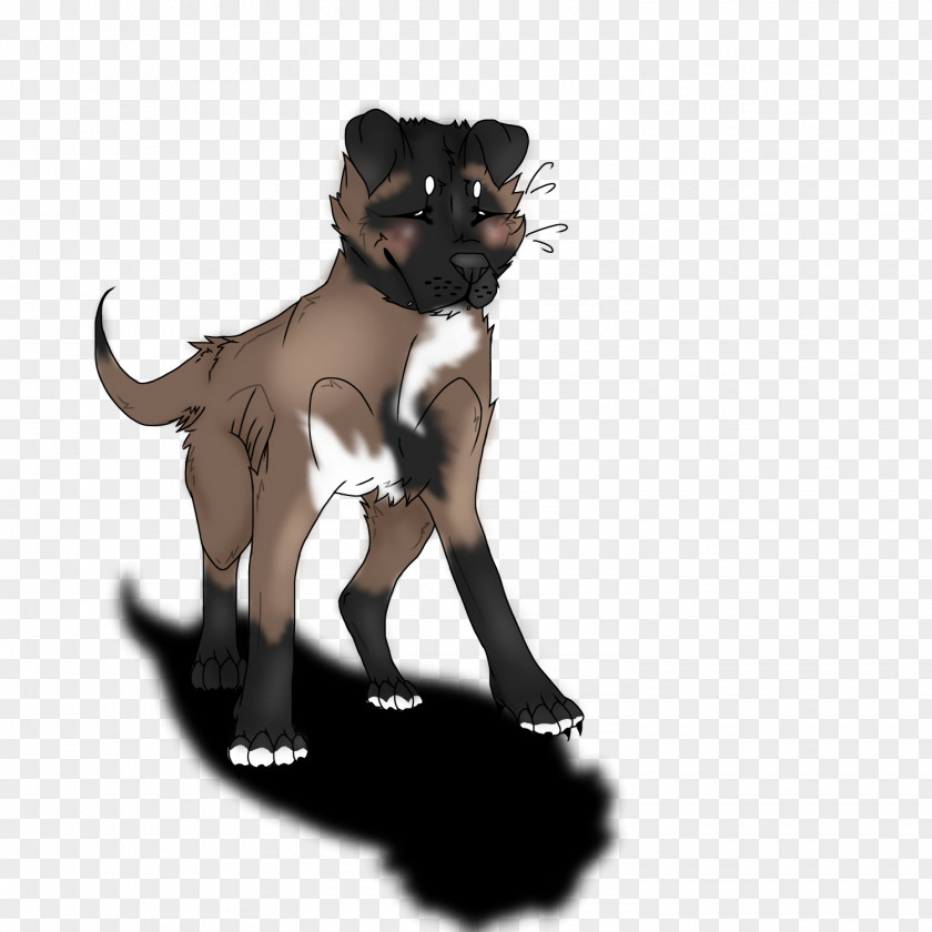 Cat Dog Breed Puppy Leash PNG