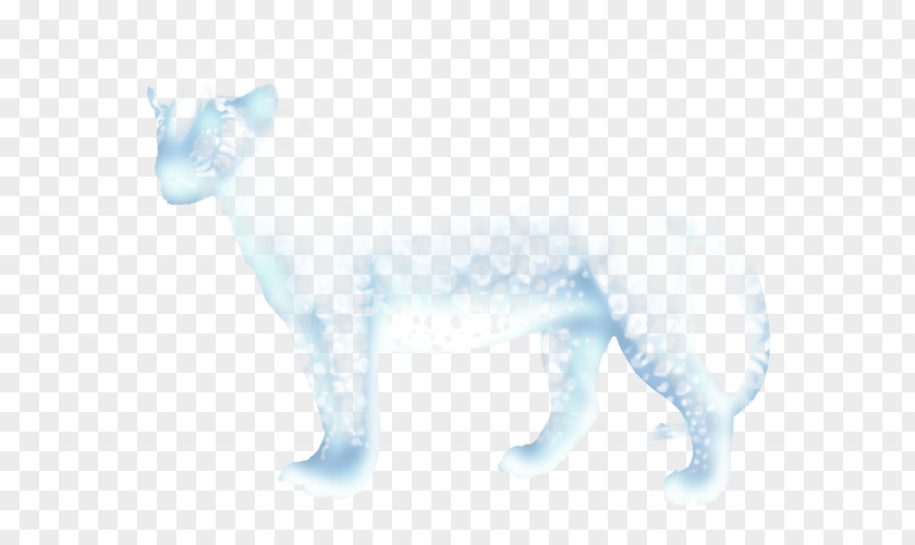 Cat Dog Canidae Snout Tail PNG