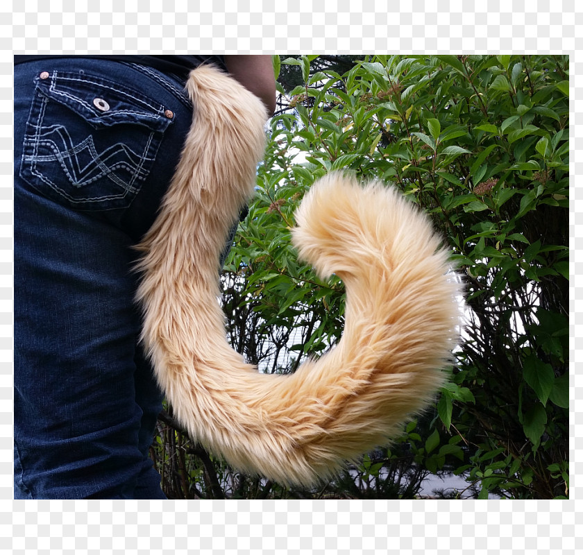 Cat Tail Big Felidae Fur PNG