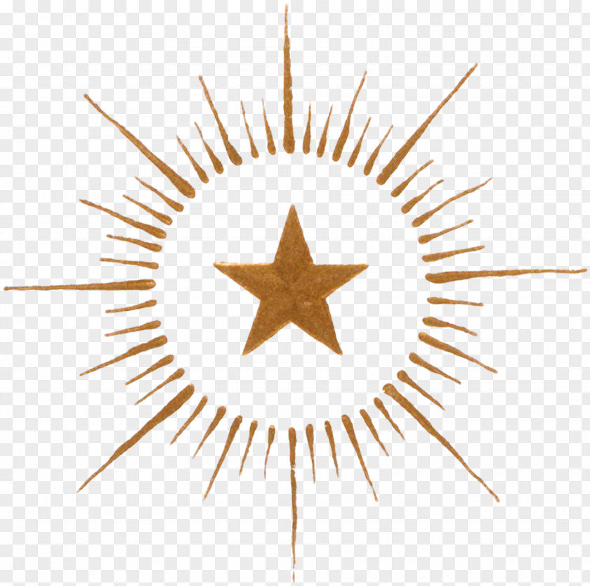 Gold Star New J H Schertz-Cibolo-Universal City ISD (SCUCISD) Organization Logo PNG