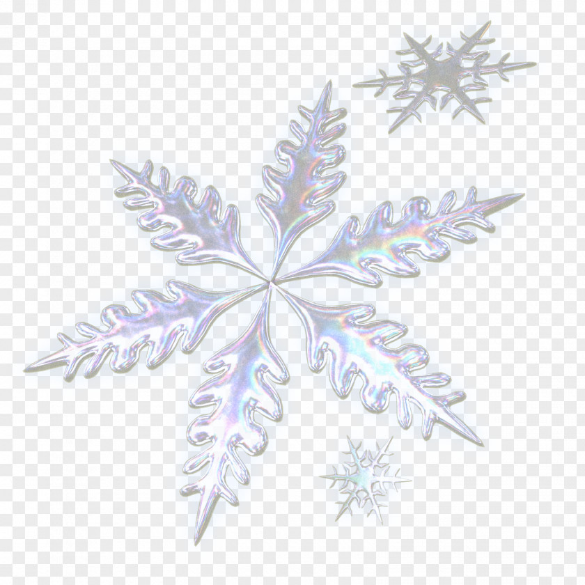 Snowing Photo Christmas Tree Advent Calendars Snowflake Clip Art PNG