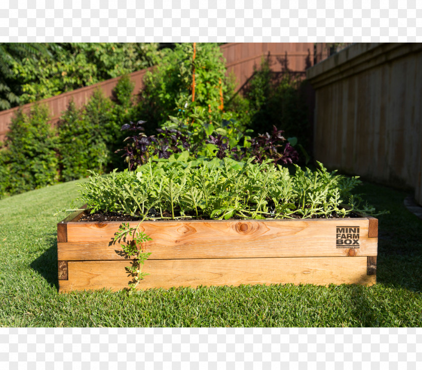 Wood Raised-bed Gardening Container Garden Organic Horticulture Yard PNG