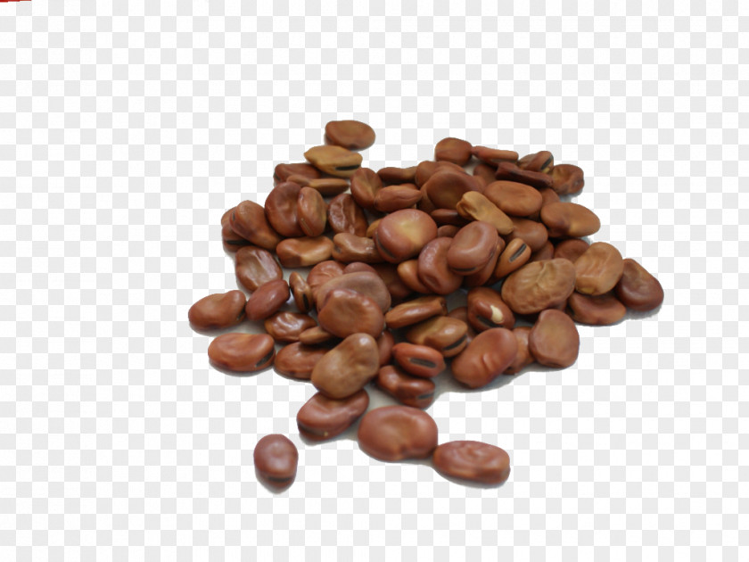 Grah Cocoa Bean Chocolate-coated Peanut Legumes Jamaican Blue Mountain Coffee PNG