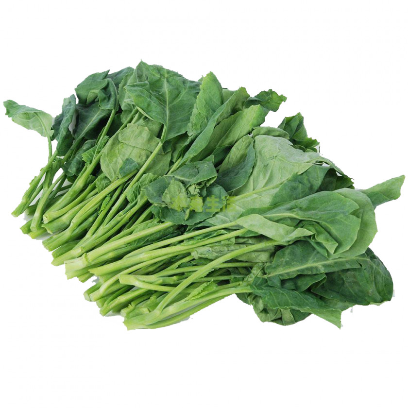 Green Kale Leaf Vegetables Chinese Broccoli Kohlrabi Vegetable Organic Food Brassica Juncea PNG