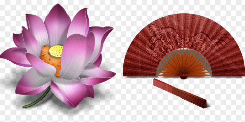 Lotus Chinese Style Material ICQ ICO Download Icon PNG