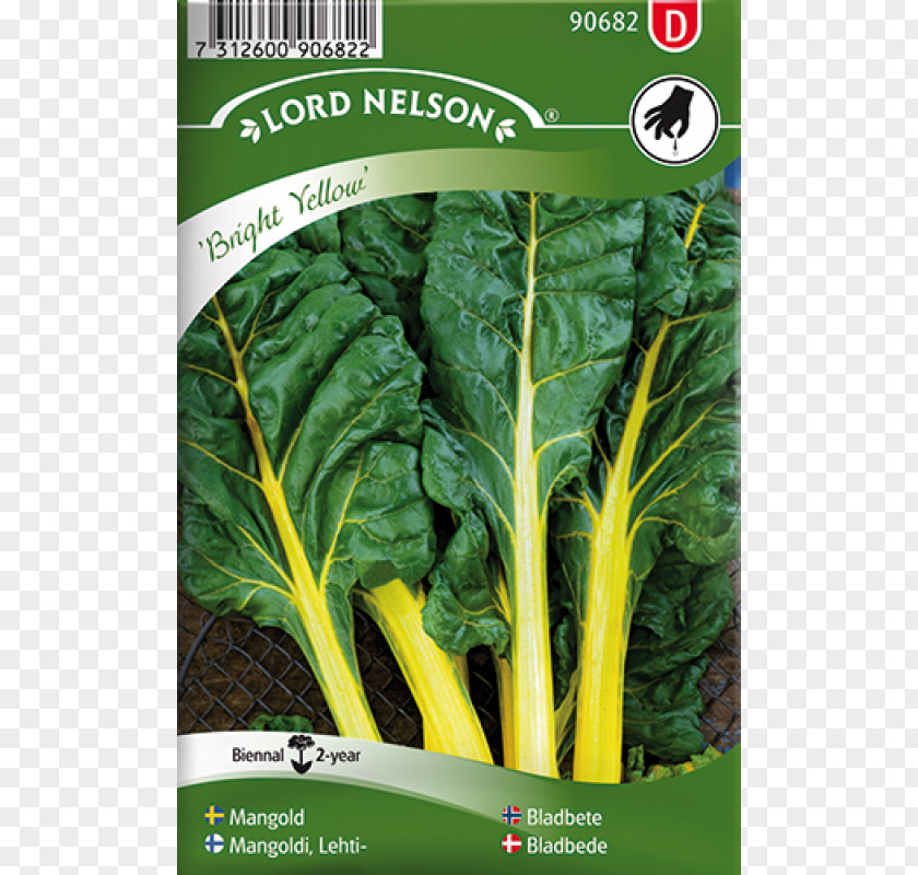 Mangold Seed Sowing Arugula Bedding Perennial Plant PNG