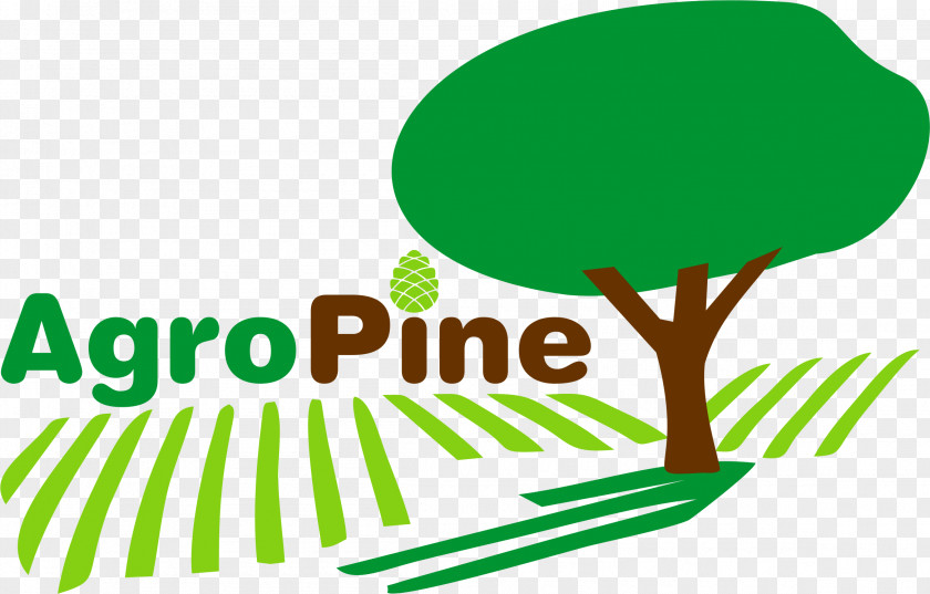 Pinus Pinea Tree Brand Human Behavior Graphic Design Clip Art PNG