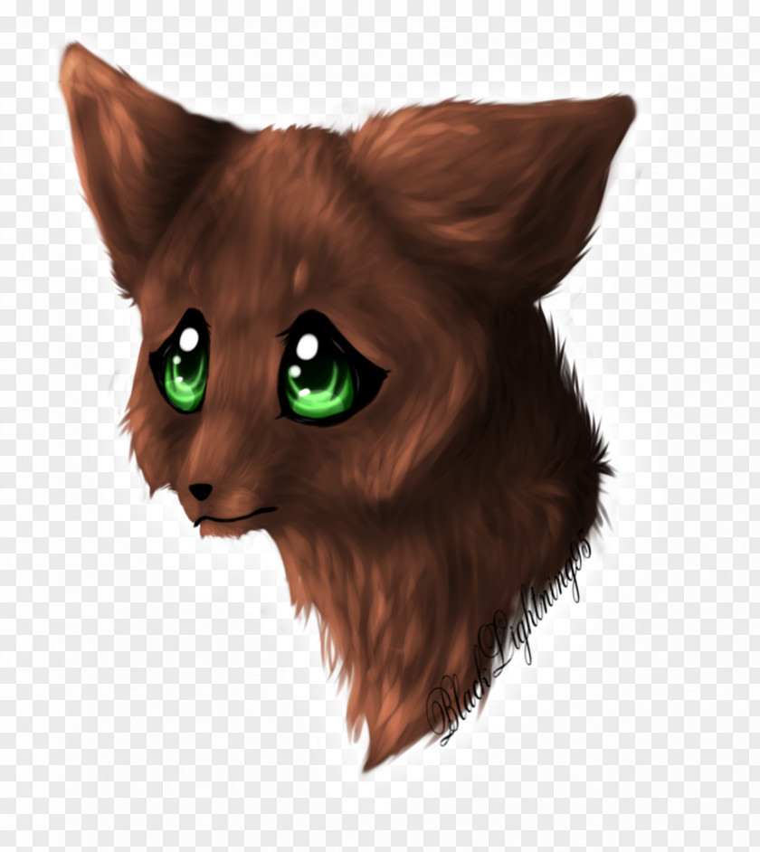 Warm-up Whiskers Cat Red Fox Snout Fur PNG