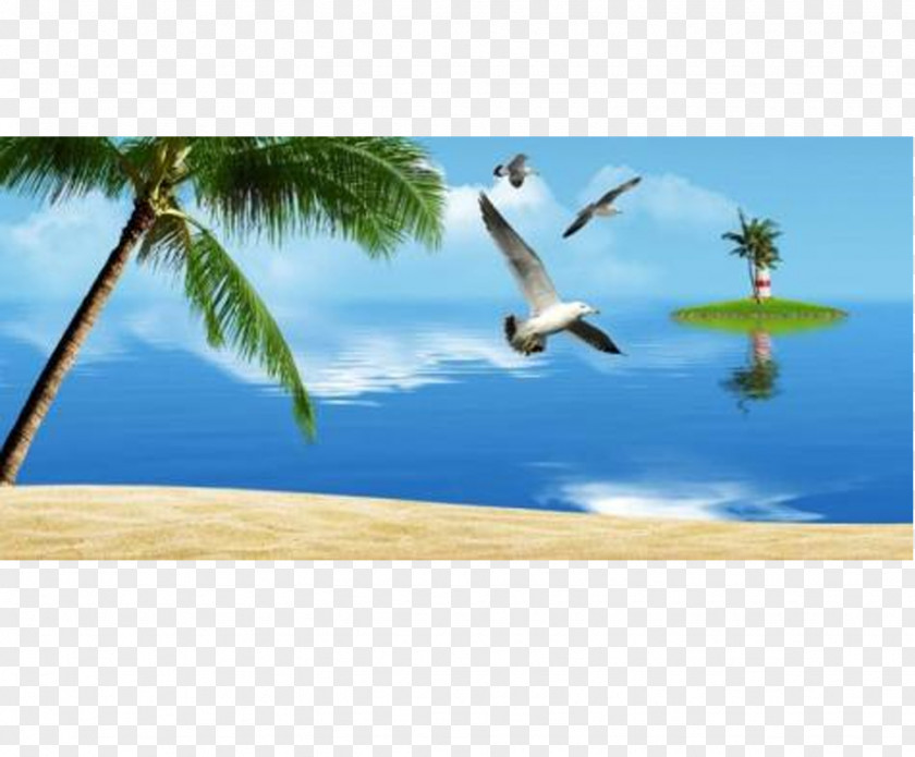 Beach Material Sandy Bird PNG