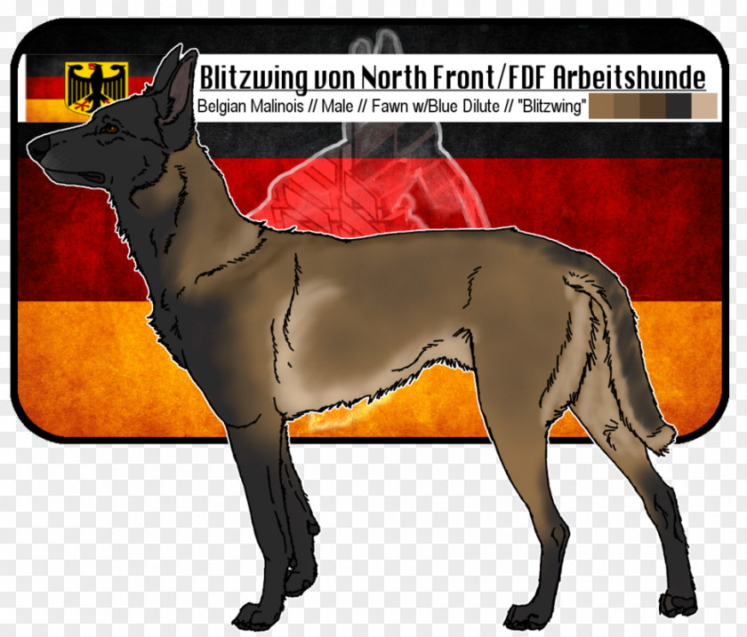 Blitzwing Dog Breed Italian Greyhound Malinois Arbeitshund PNG
