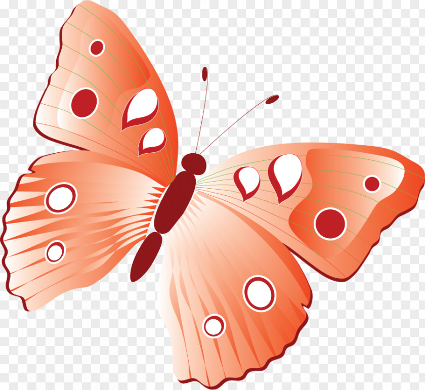 Butterfly Monarch Image Insect PNG
