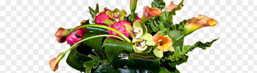 Calla Lilly Floral Design Cut Flowers Flower Bouquet Flowerpot PNG