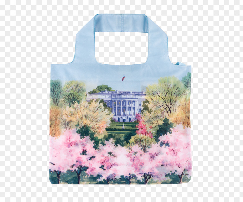 Cherry Blossom Watercolor White House Historical Association Tidal Basin First Lady Of The United States PNG