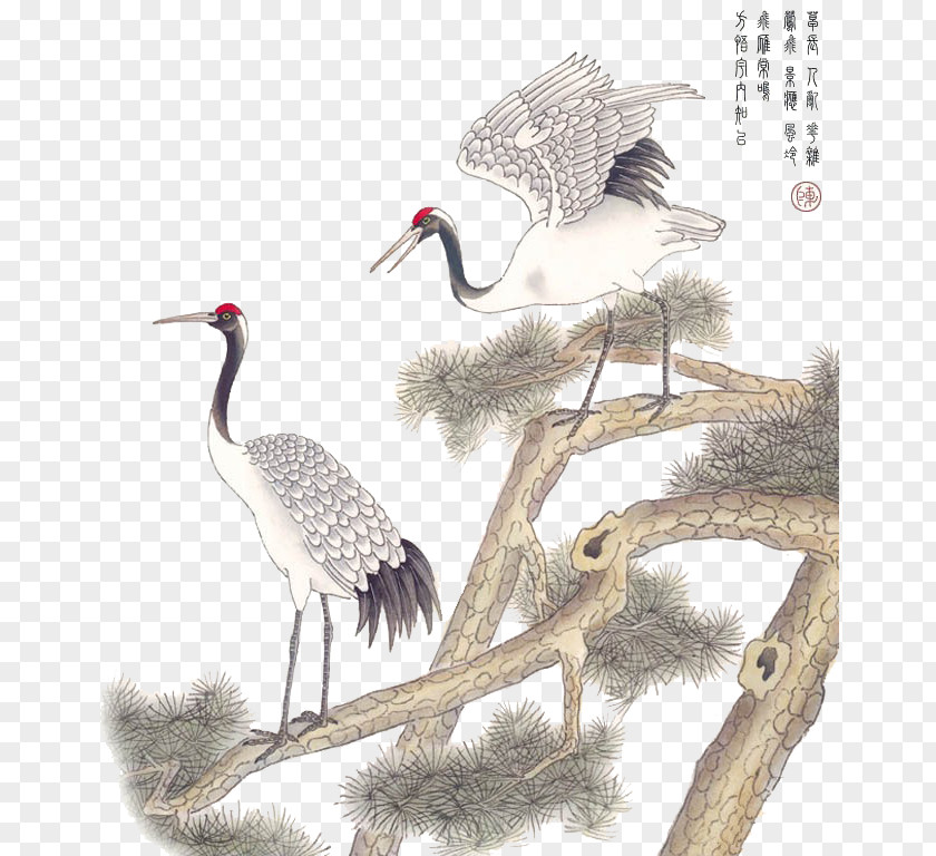 Crane Red-crowned Painting PNG