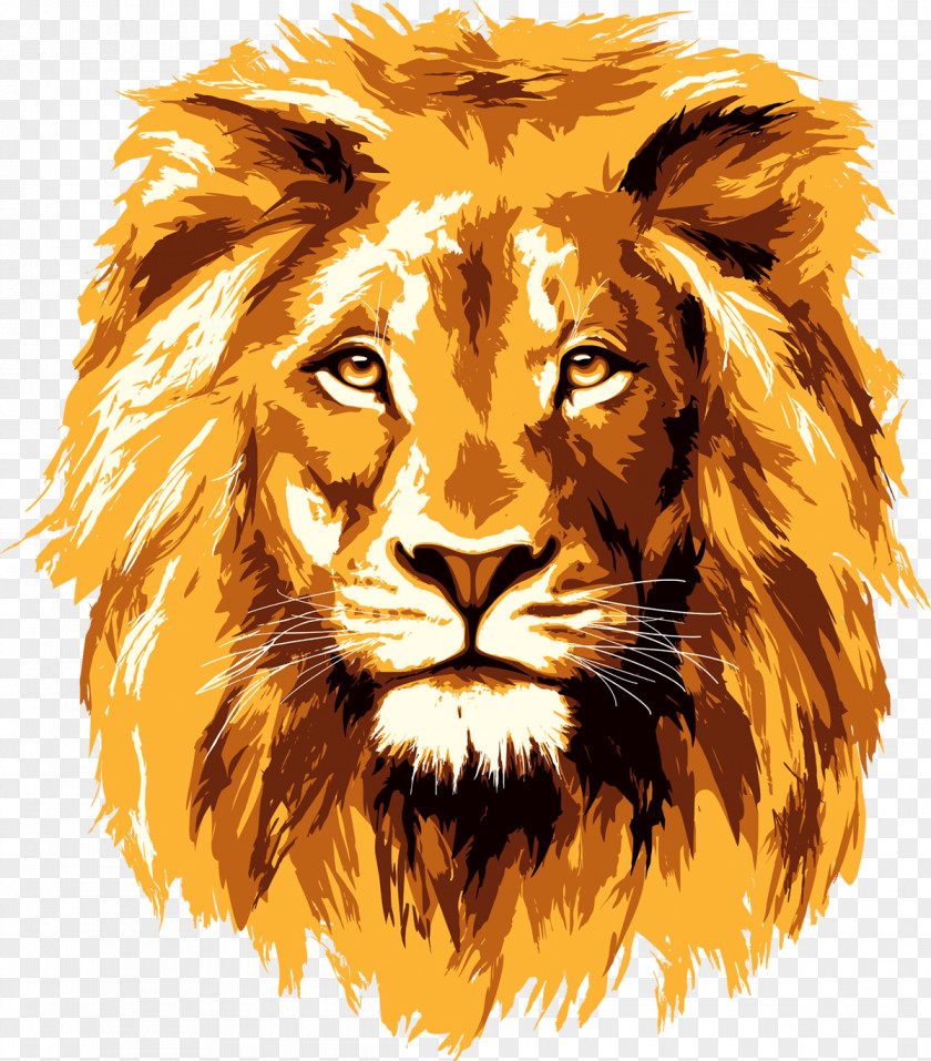 Lion Face Lionhead Rabbit Clip Art PNG