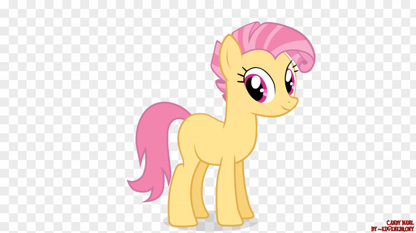 My Little Pony Spike Rarity Twilight Sparkle PNG