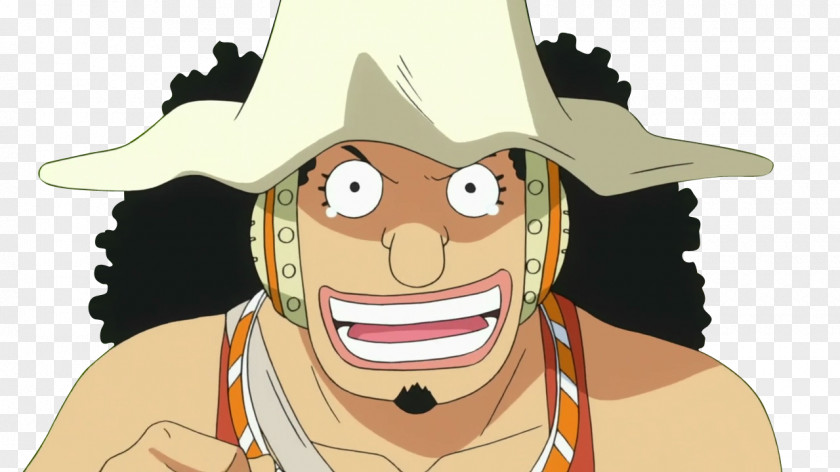 One Piece Usopp Monkey D. Luffy Franky Nami PNG