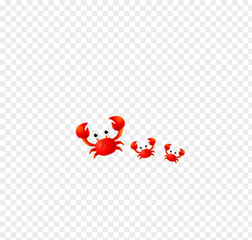 Crab Crabe Animal PNG