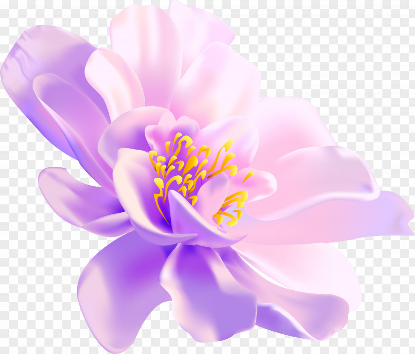 Flowers Flower Yellow PNG