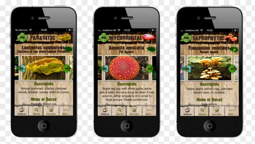 Fungi Smartphone Android Handheld Devices Arborist PNG