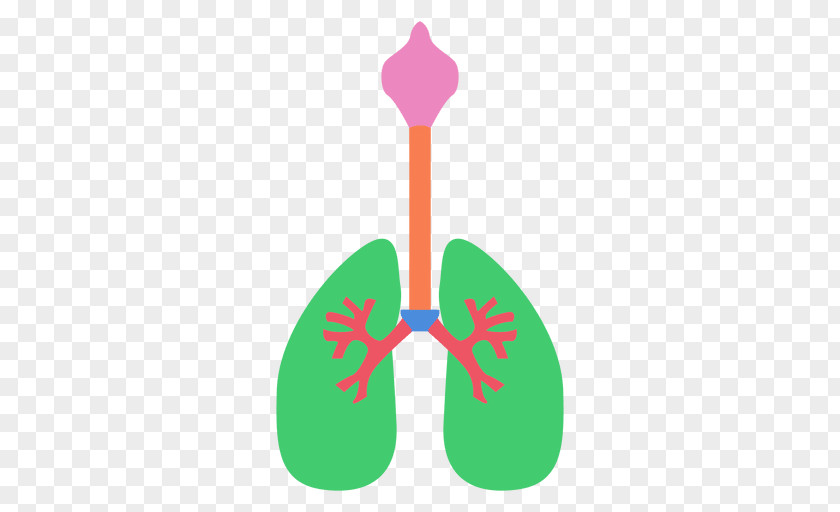 Human Body Lung Oxygen Clip Art PNG