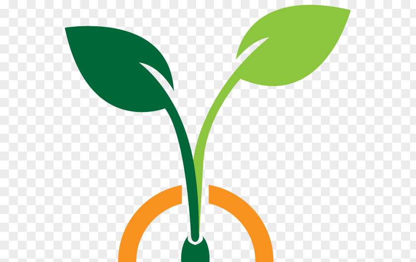 Leaf Plant Stem Line Clip Art PNG