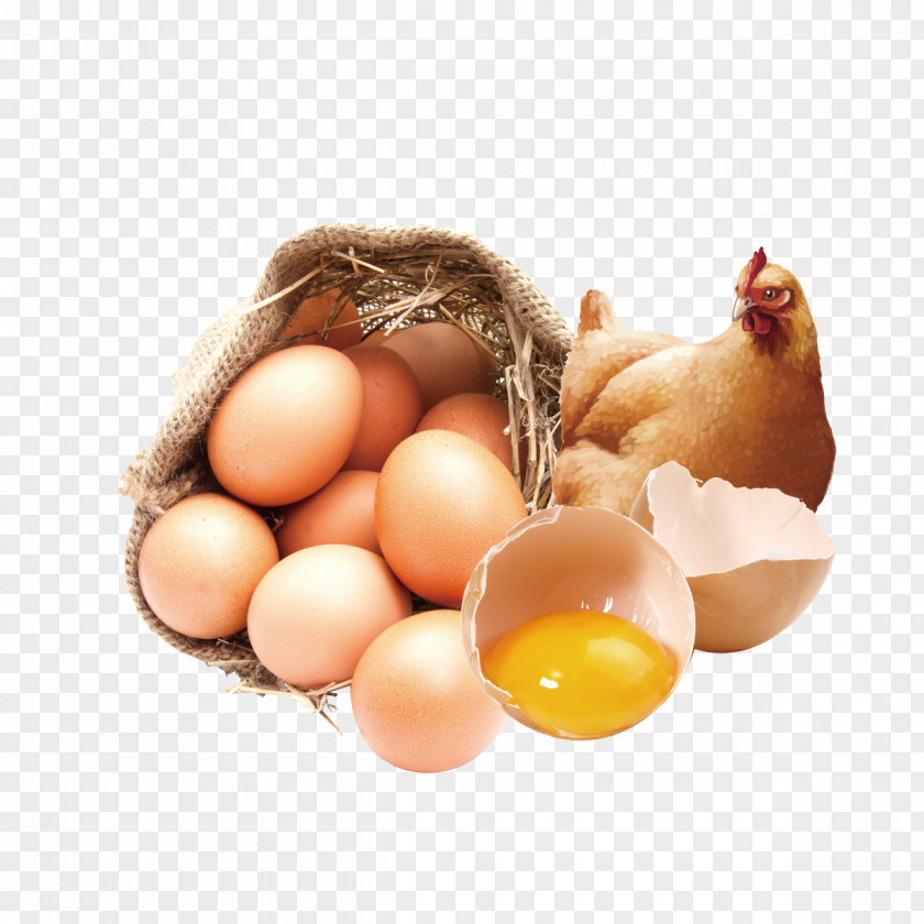Live Stupid Eggs Publicity Chicken Organic Food Veal Milanese Egg Bocadillo PNG