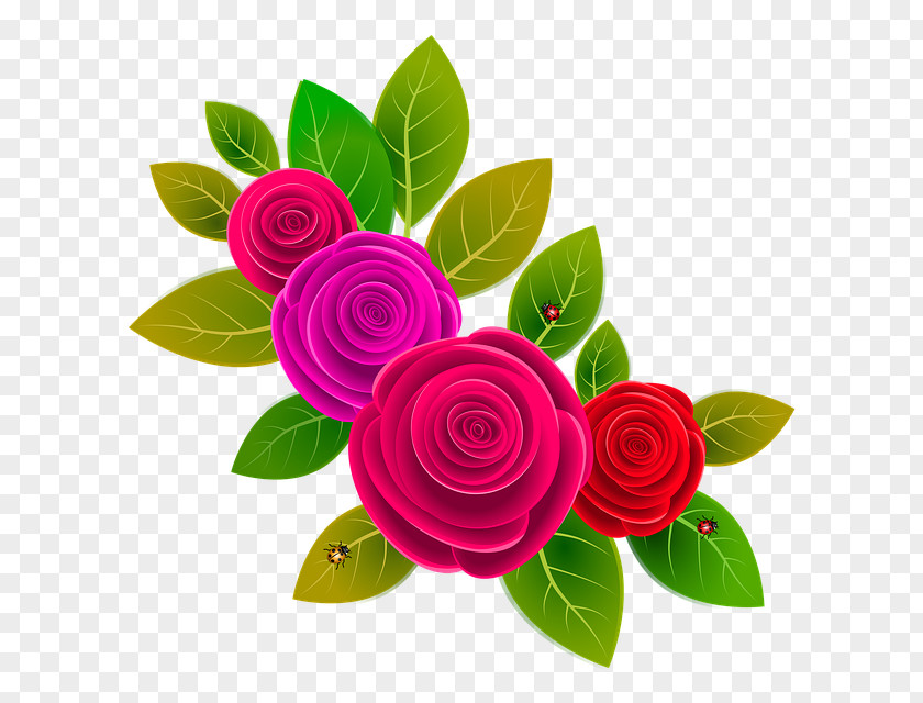 Plant Stem Hybrid Tea Rose Pink Flowers Background PNG