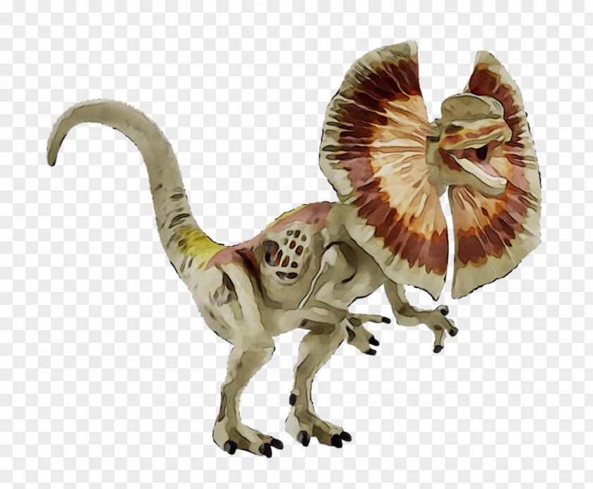 Velociraptor Dinosaur Dilophosaurus Triceratops Stegosaurus PNG