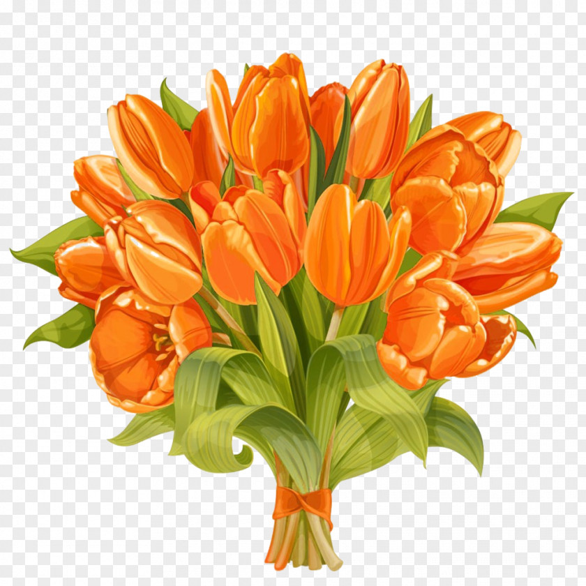 Warm Tulip Picture Material Floral Design Flower Bouquet PNG