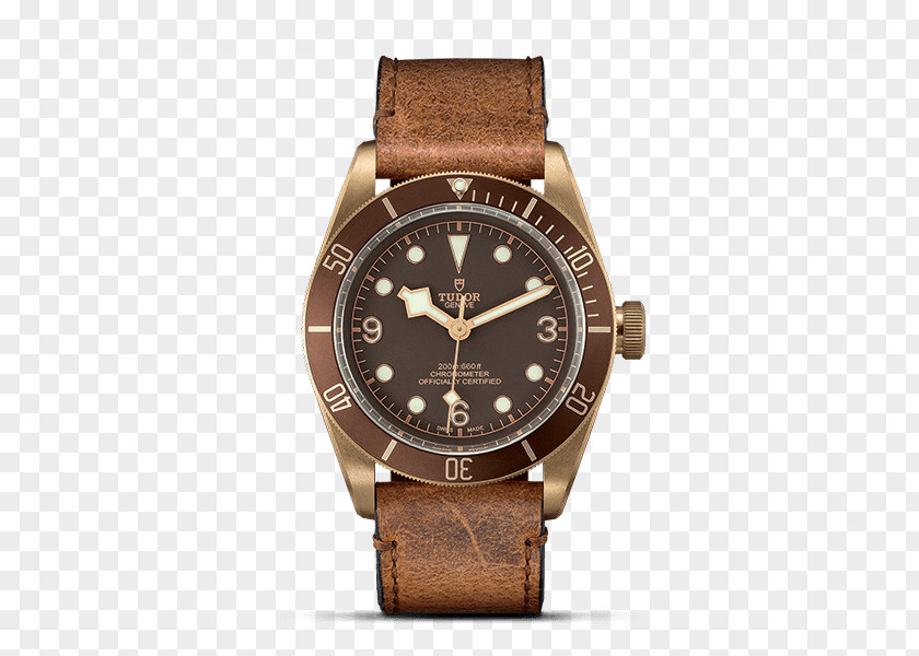 Watch Dial Tudor Men's Heritage Black Bay Bronze Baselworld Watches PNG