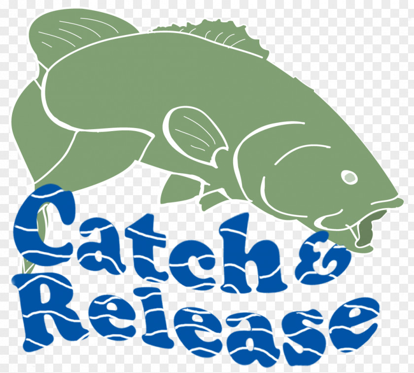 Fishing Catch And Release Bass Clip Art PNG