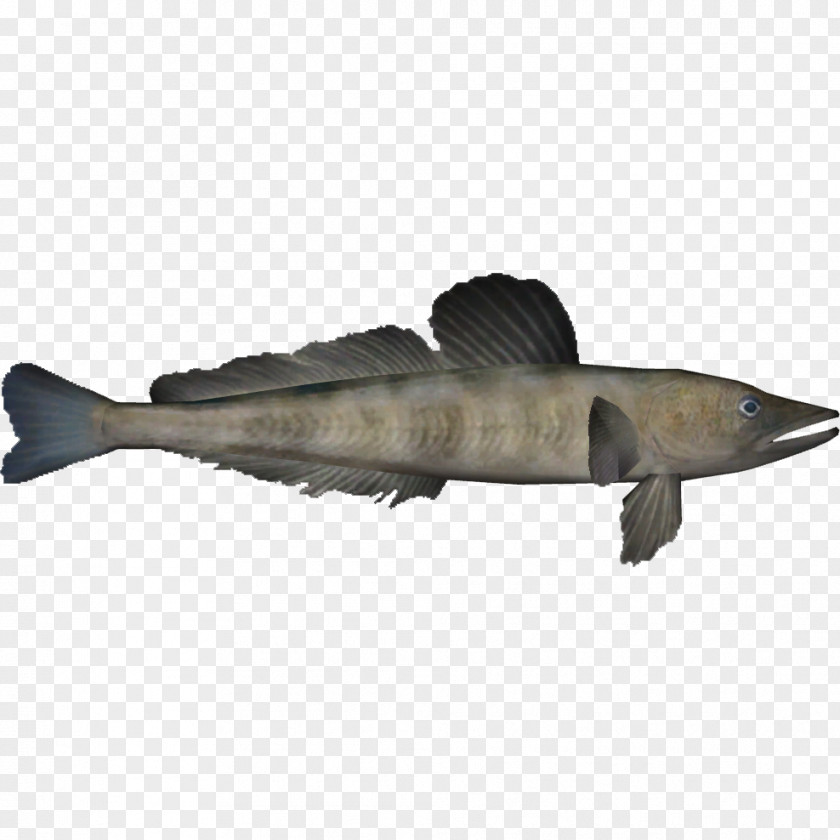 Mackerel Icefish Channichthyidae Animal Zoo Tycoon 2 PNG