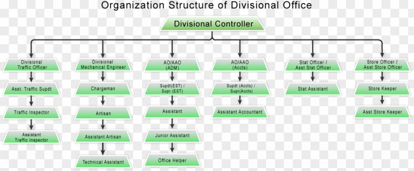 Organization Chart Document Line Green Angle PNG