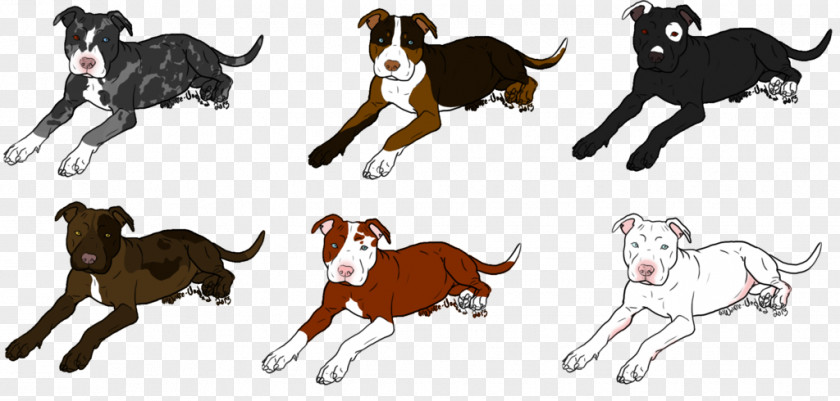 Pit Bull Dog Cat Terrier American Bully Puppy PNG