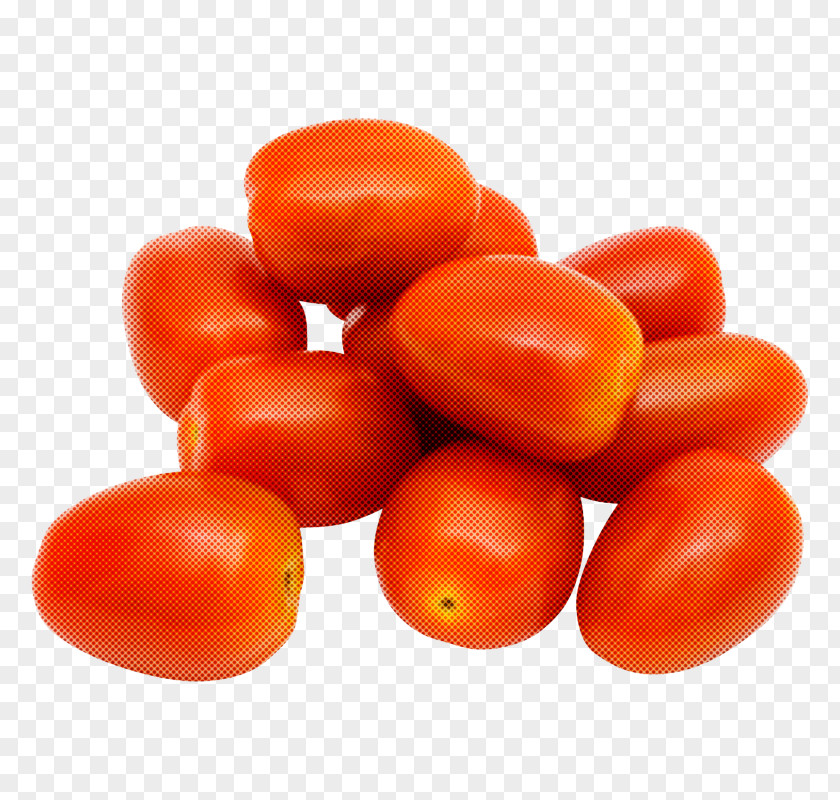 Plant Orange Tomato PNG