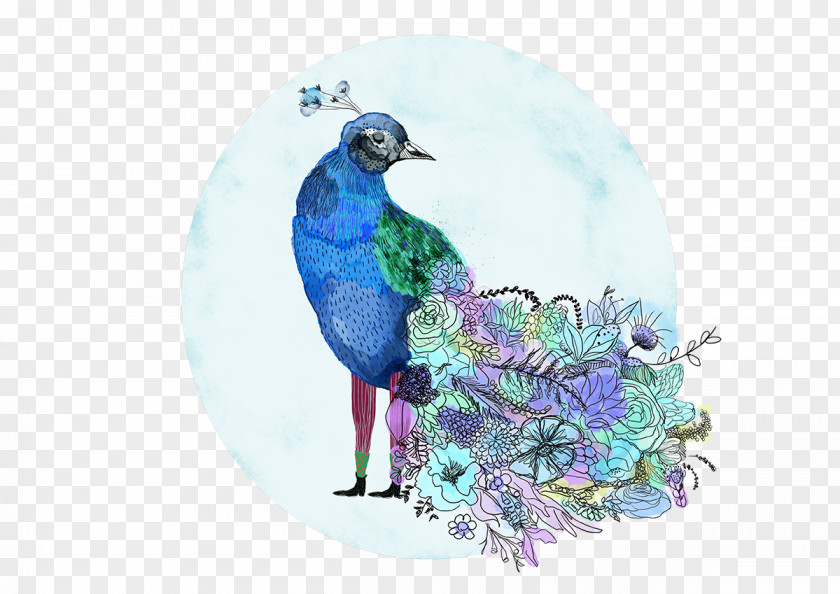 Van Der Pauw Beak Blue Jay Feather PNG