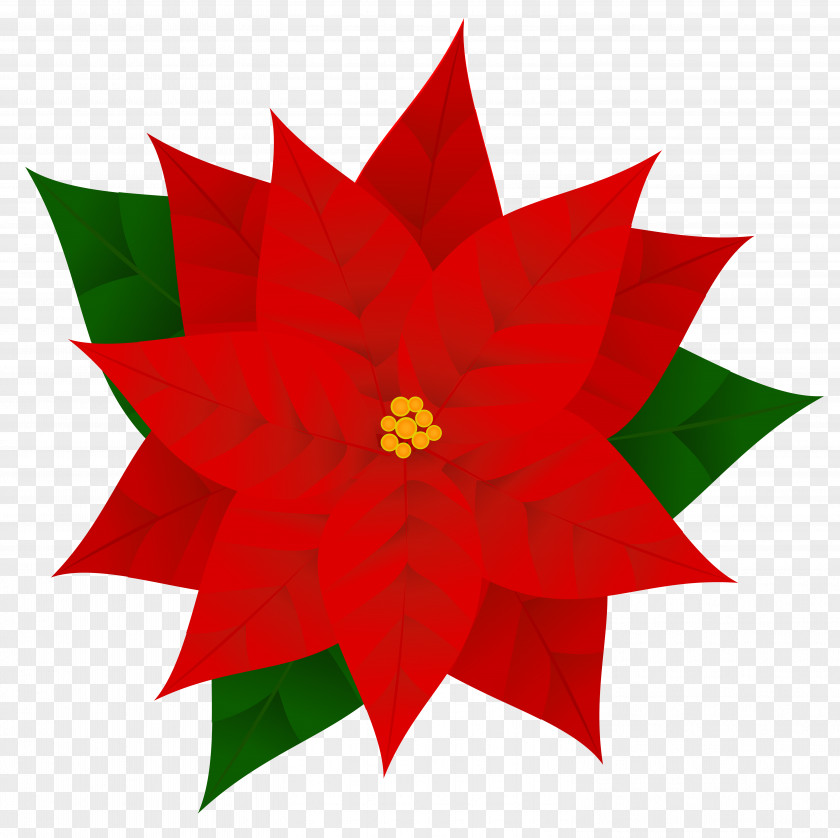 Poinsettia Clipart Image Christmas Clip Art PNG