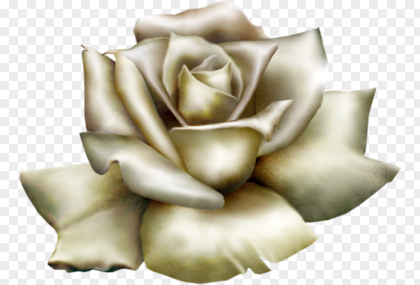 Rose Clip Art PNG