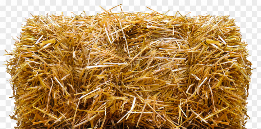 Straw-bale Construction Harvest Hay PNG
