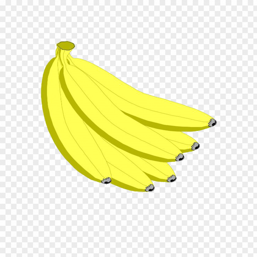 Banana Fruit PNG