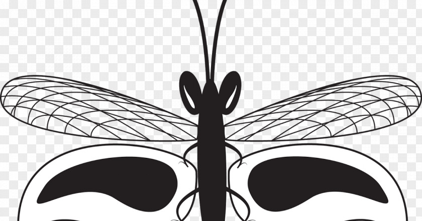 Butterfly Insect Drawing Arthropod Clip Art PNG