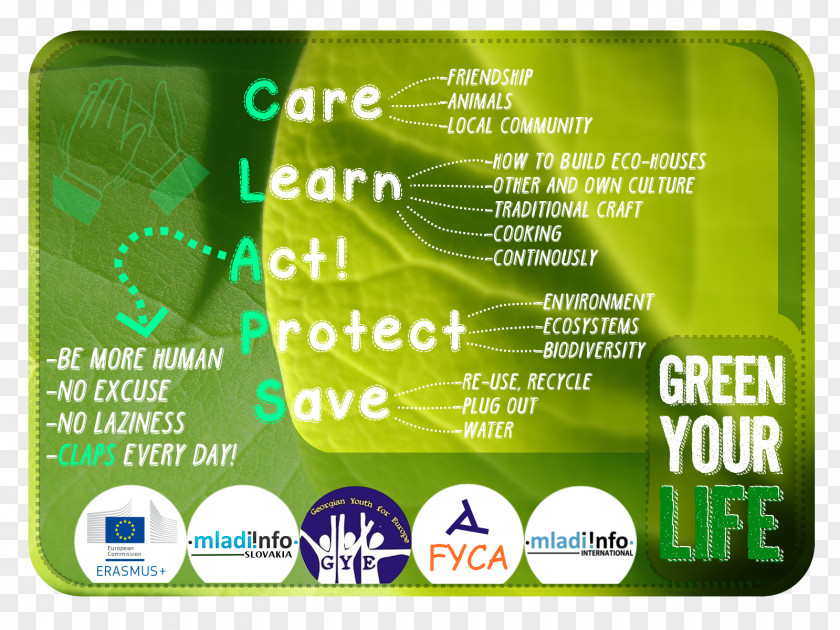 Card Green Mladiinfo Zaježová Volunteering European Voluntary Service Labor PNG