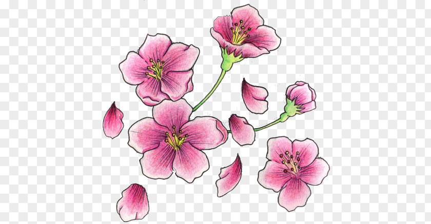 Cherry Blossom Tattoo Flash PNG