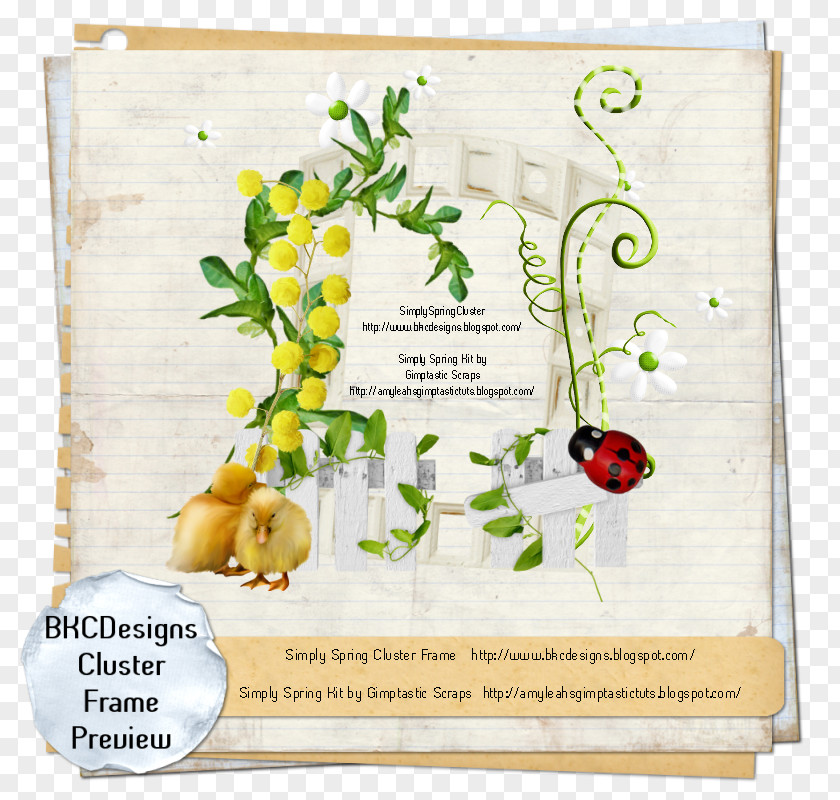 Design Floral Picture Frames Flower PNG