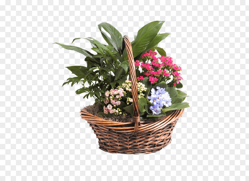 Flower Food Gift Baskets Floral Design Cut Flowers PNG